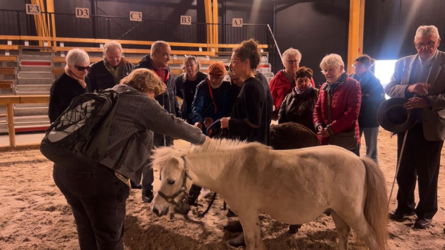 Un groupe de participants réunis autour d'un poney dans le manège du Haras d'Hennebont, lors de la visite sensorielle organisée par Céciweb Formation.